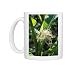 Photo Mugs of ROG-2115 Sweet Corn / Maize - female flowers a tassels from Ardea Wildlife Pets