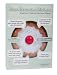 Paladone Diet Decision Maker Talking Fridge Magnet