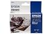 Epson R2400 T0599 Light Black Ink Cart