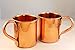 Set of Two 14 Ounce Alchemade 100% Pure Hammered Copper Mugs To Use For Moscow Mules, And All Other Cocktails - Handmade, Tarnish Resistant Copper Mug