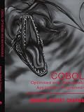 COBOL: Optimised and Maintainable Application Programming