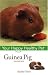 Guinea Pig: Your Happy Healthy Pet