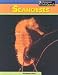 Seahorses (Sea Creatures) by Elizabeth Laskey