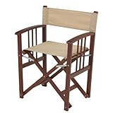 �f�B���N�^�[�`�F�A�[ �A�C�{���[ DR-02IV