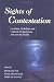 Sights of Contestation: Localism, Globalism and Cultural Production in Asia and the Pacific