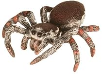 Safari - Hidden Kingdom - Jumping Spider