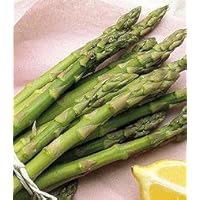 Mary Washington Asparagus 100 Seeds - Veggie