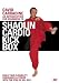 David Carradine - An Introduction For Beginners To Shaolin Cardio Kick Box