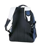 Swiss Gear Altenberg Daypack (Blue/Grey)