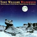 Wilderness