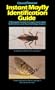 Instant Mayfly Identification Guide