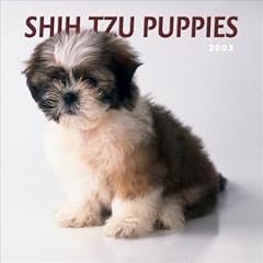 Shih Tzu Puppies: Mini Wall Calendar: 2003