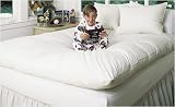 Baffled Channel White Goose Feather Beds White Twin