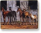 Wild Wings Horse Plates - Little Partners Foals - B0006U38EY