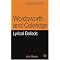 The best study guides i've used for English Literature