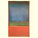 Mark Rothko: The Works on Canvas