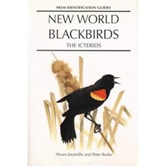 New World Blackbirds: The Icterids (Helm Identification Guides)