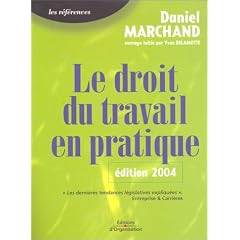 Le Droit du travail en pratique