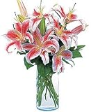 Stargazer Bouquet
