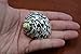 Polished Black Cyprea Pica Turbo Hermit Crab Sea Shell 1 1/2