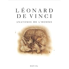 Anatomie de l'homme