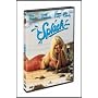 Splash [DVD] [1984]