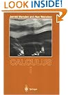 Calculus I (Undergraduate Texts in Mathematics)
