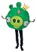 Angry Birds King Pig Green Costume