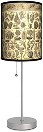 Antique look Shells Lamps and Lighting, Contemporary Modern Table Lamp, Living Room or Desk - Adults / Teens