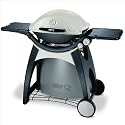 Weber Q 300 Gas Grill