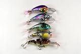 Lot of 5 Mixed Shallow Diving Fishing Lures for Bass & Trout