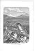 COLONY OF BOBAC MARMOTS Antique Print 1894