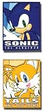 Sonic the Hedgehog: Sonic and Tails Frame Anime Pins (Set of 2)