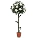 f-DECO ���[�Y�z���C�g 120cm