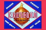 12 X 18 Stretched Canvas Poster E. Rosello Valencia Onions