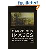 Marvelous Images: On Values and the Arts