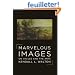 Marvelous Images: On Values and the Arts