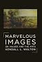 Marvelous Images: On Values and the Arts