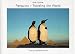 Penguins - traveling the world