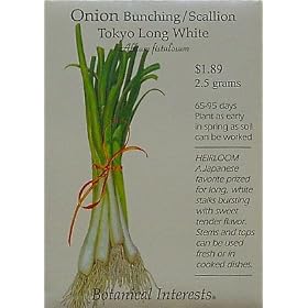 Bunching Onion Scallion Tokyo Long White Heirloom Seeds 500 Seeds