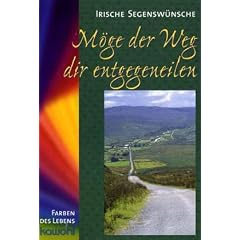 Möge der Weg dir entgegeneilen. Irische Segenswünsche (Gebundene Ausgabe)