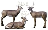 McKenzie® HD™ Medium Alert Deer Target Midsection Only