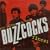 Ever Fallen in Love?: Buzzcocks Finest