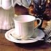 Mikasa Antique White Teacup
