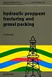 Hydraulic Proppant Fracturing and Gravel Packing (Developments in Petroleum Science)