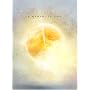 Anathema: A Moment in Time [2006]