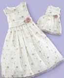 Cinderella Little Girl Embroidered Organza Dress