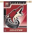 Phoenix Coyotes 27"x37" Banner - HOCKEY Sports Merchandise