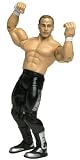 WWE Wrestling 10th Anniversary Shawn Michaels HTF Figure