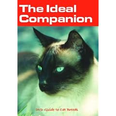 The Ideal Companion DVD Guide To Cat Breeds